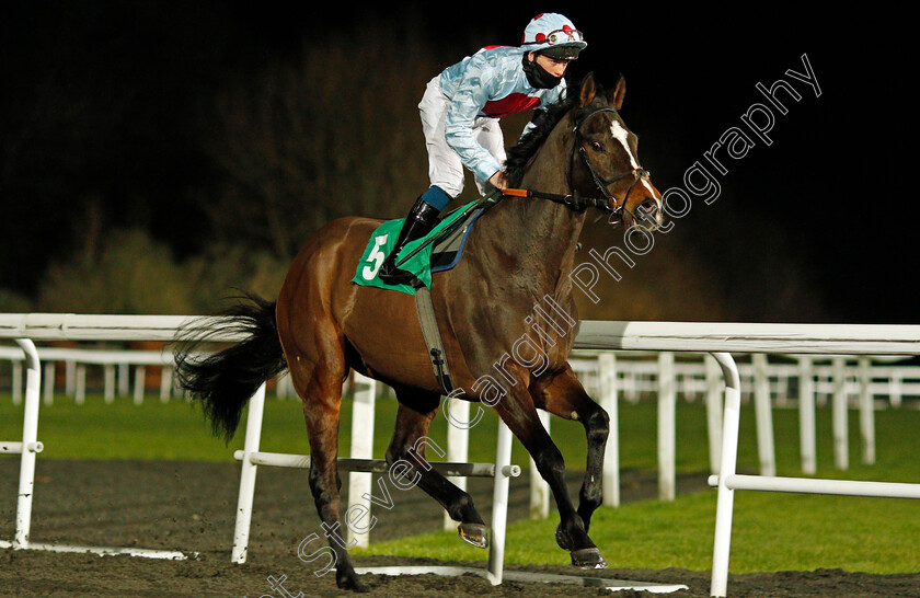 Charlie-Arthur-0001 
 CHARLIE ARTHUR (George Rooke)
Kempton 3 Feb 2021 - Pic Steven Cargill / Racingfotos.com