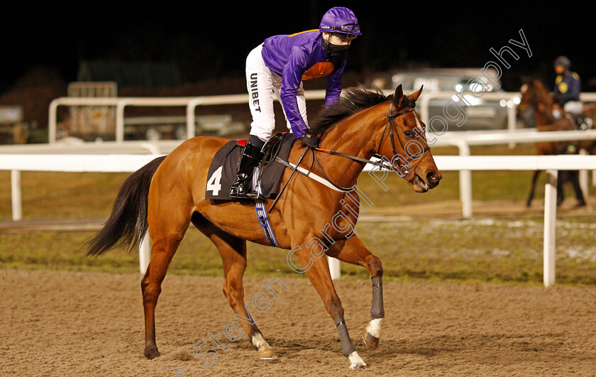 Marly-0001 
 MARLY (Jamie Spencer)
Chelmsford 18 Feb 2021 - Pic Steven Cargill / Racingfotos.com