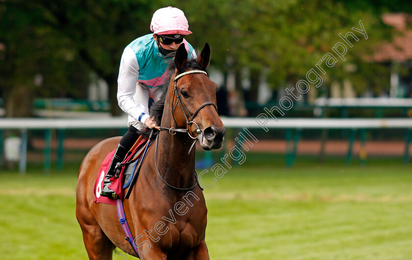 Yesyes-0001 
 YESYES (Rob Hornby) winner of The Watch Racing TV Fillies Novice Stakes
Haydock 28 May 2021 - Pic Steven Cargill / Racingfotos.com