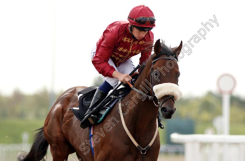 Federal-Law-0002 
 FEDERAL LAW (Oisin Murphy)
Chelmsford 30 Aug 2018 - Pic Steven Cargill / Racingfotos.com