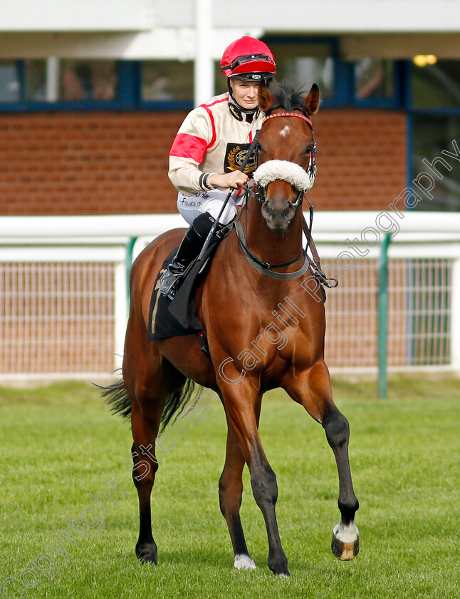 Rebel-Army 
 REBEL ARMY (Joanna Mason)
Nottingham 13 Oct 2021 - Pic Steven Cargill / Racingfotos.com