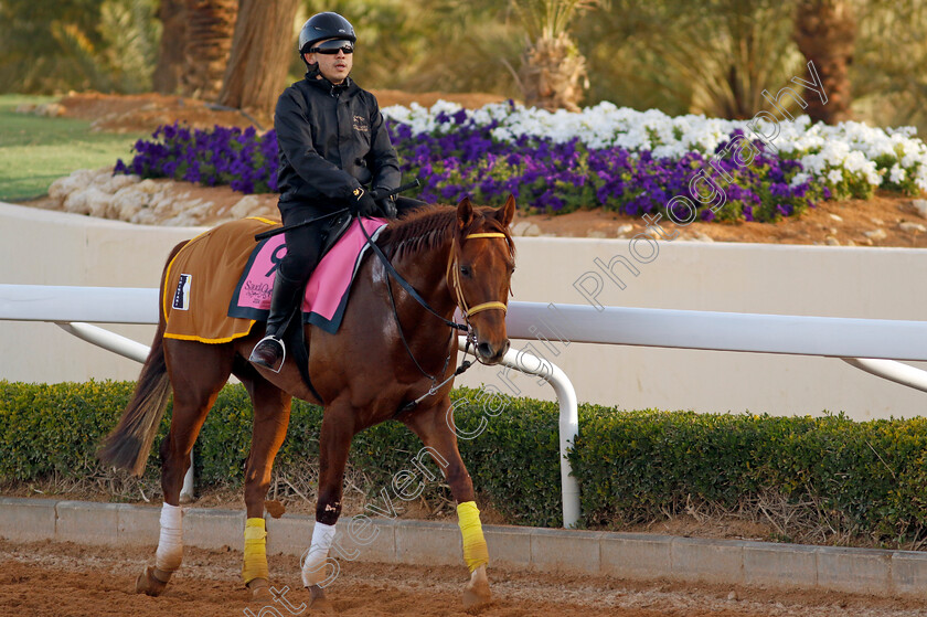 Remake-0002 
 REMAKE training for The Riyadh Dirt Sprint
King Abdulaziz Racecourse, Saudi Arabia 20 Feb 2024 - Pic Steven Cargill / Racingfotos.com