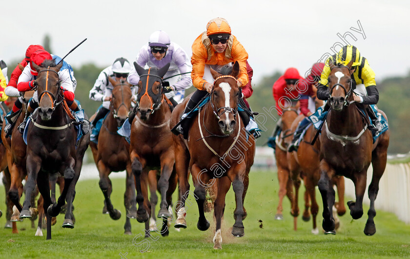 Streets-Of-Gold-0003 
 STREETS OF GOLD (Charles Bishop) wins The Sky Bet Nursery
York 17 Aug 2022 - Pic Steven Cargill / Racingfotos.com