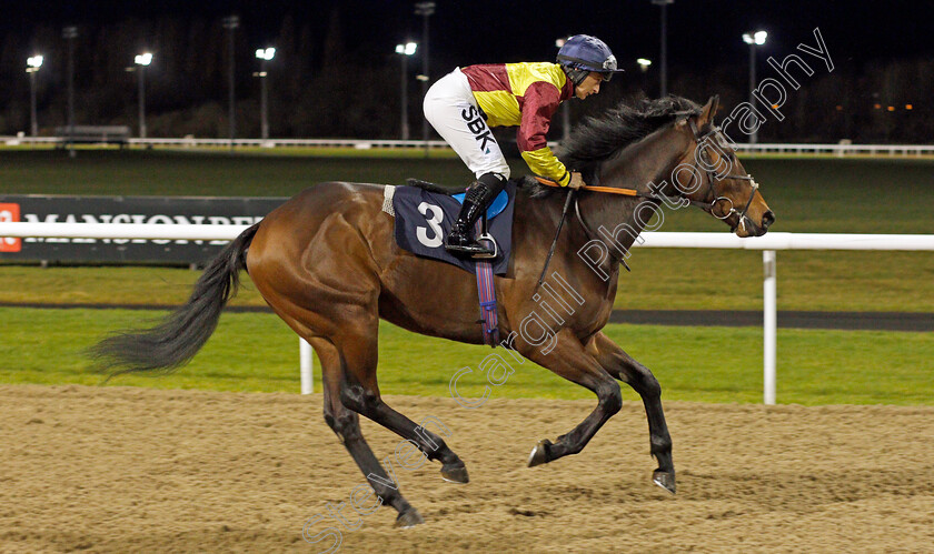 Fra-Angelico 
 FRA ANGELICO (Nicola Currie)
Wolverhampton 11 Mar 2022 - Pic Steven Cargill / Racingfotos.com