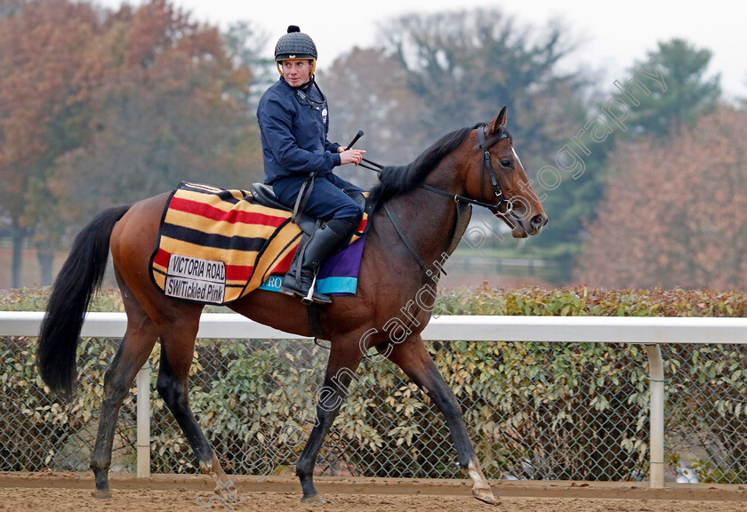 Victoria-Road-0001 
 VICTORIA ROAD (Ryan Moore) training for the Breeders' Cup Juvenile Turf
Keeneland USA 2 Nov 2022 - Pic Steven Cargill / Racingfotos.com