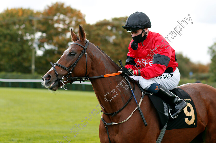 Peggie-Sue-0001 
 PEGGIE SUE (Kieran Shoemark)
Nottingham 14 Oct 2020 - Pic Steven Cargill / Racingfotos.com