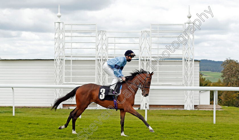 Flotilla-0007 
 FLOTILLA (David Egan)
Goodwood 29 Aug 2020 - Pic Steven Cargill / Racingfotos.com