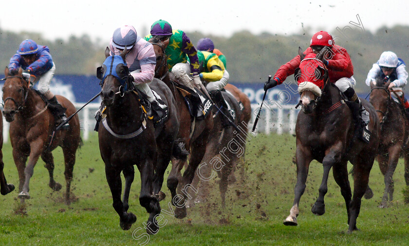 Erissimus-Maximus-0002 
 ERISSIMUS MAXIMUS (Nicola Currie) beats HOLMESWOOD (right) in The Mcgee Group Handicap
Ascot 6 Oct 2018 - Pic Steven Cargill / Racingfotos.com