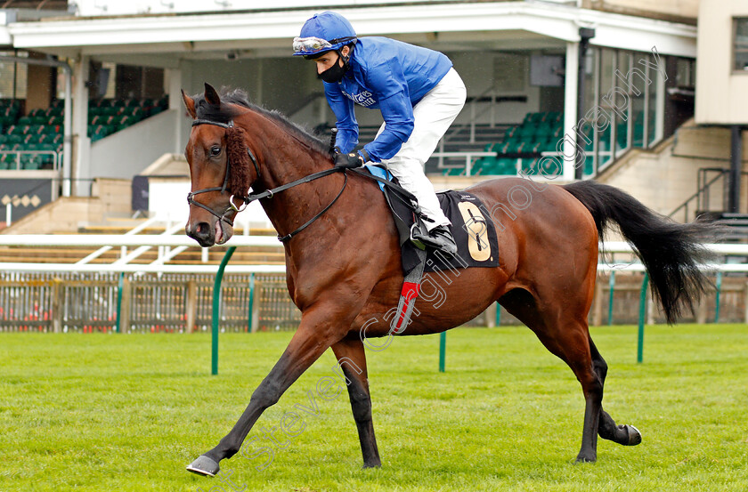 Symbolic-Power-0002 
 SYMBOLIC POWER (William Buick)
Newmarket 21 Oct 2020 - Pic Steven Cargill / Racingfotos.com