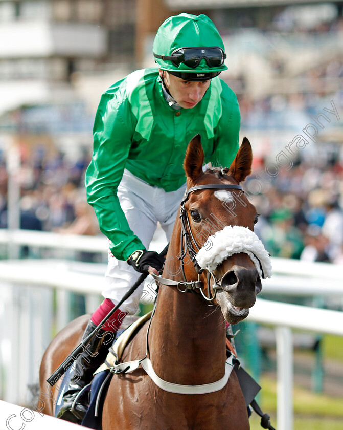 Ghost-Run-0005 
 GHOST RUN (Oisin Murphy) winner of The British Stallions Studs EBF Fillies Nursery
Doncaster 12 Sep 2024 - Pic Steven Cargill / Racingfotos.com