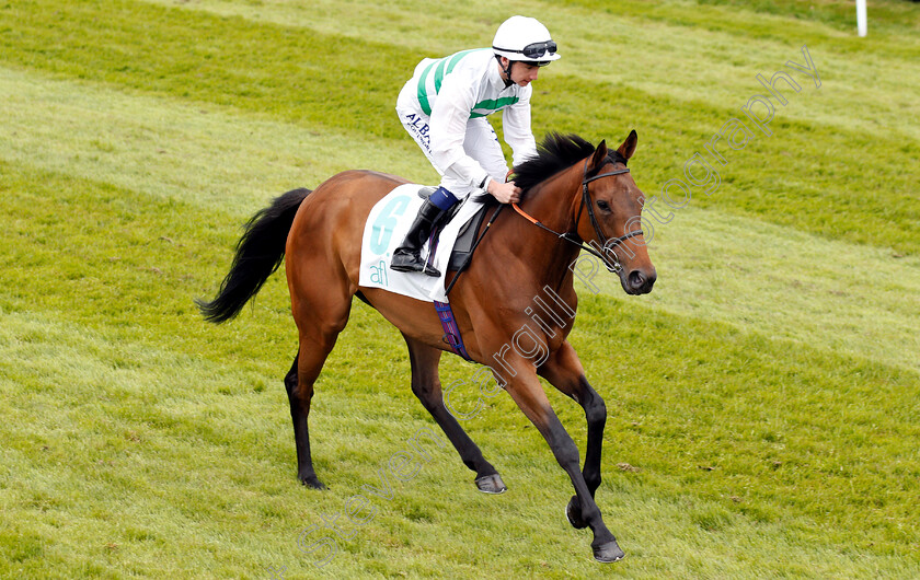 Kinaesthesia-0001 
 KINAESTHESIA (Oisin Murphy)
Chester 9 May 2018 - Pic Steven Cargill / Racingfotos.com