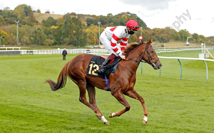 Sammy-Sunshine-0001 
 SAMMY SUNSHINE (Rob Hornby)
Nottingham 14 Oct 2020 - Pic Steven Cargill / Racingfotos.com