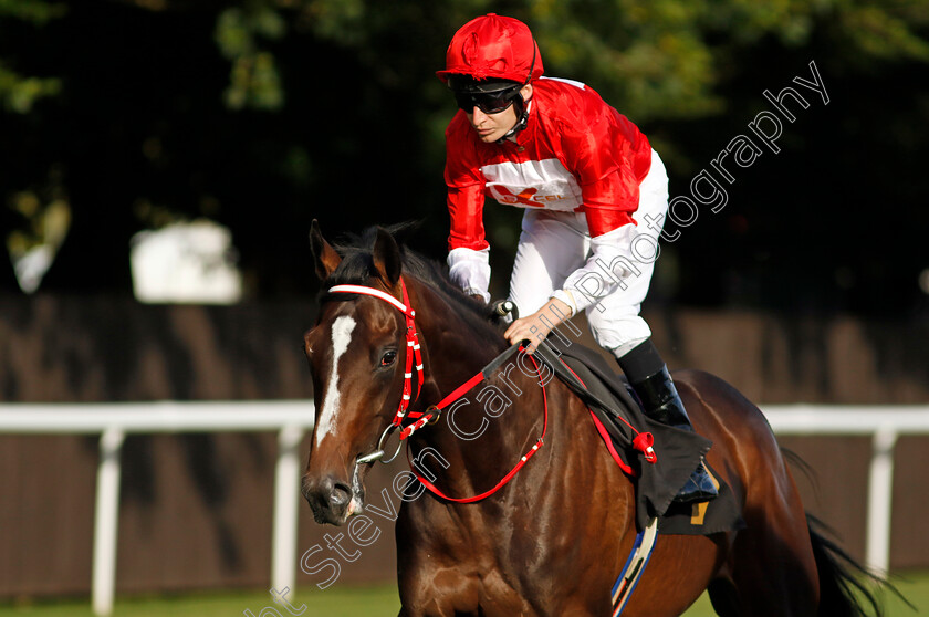 Rogue-Impact-0002 
 ROGUE IMPACT (Luke Morris)
Newmarket 9 Aug 2024 - Pic Steven Cargill / Racingfotos.com