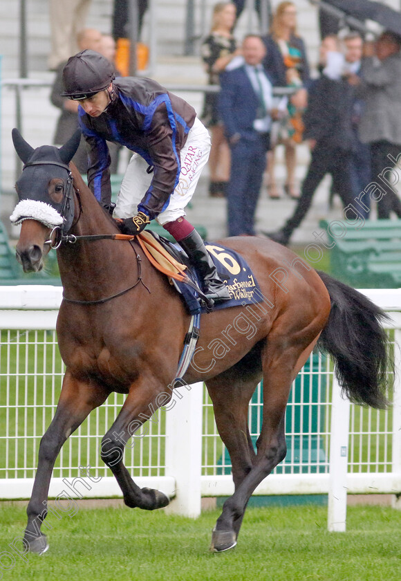 Frankini-0001 
 FRANKINI (Oisin Murphy)
Ascot 6 Sep 2024 - Pic Steven Cargill / Racingfotos.com