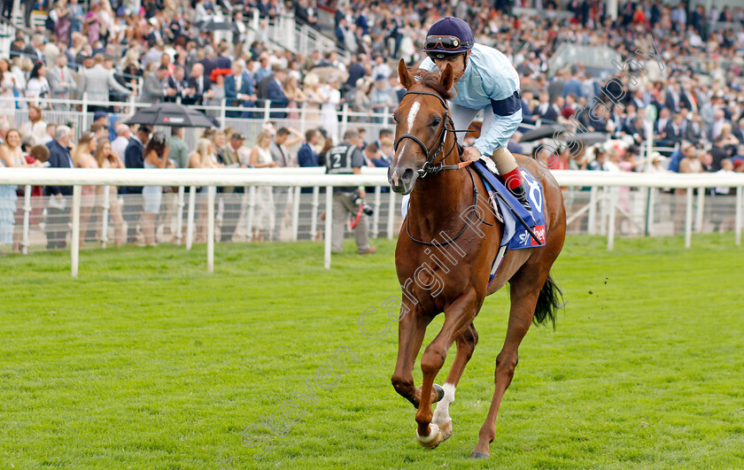 Parachute-0002 
 PARACHUTE (Andrea Atzeni)
York 21 Aug 2021 - Pic Steven Cargill / Racingfotos.com