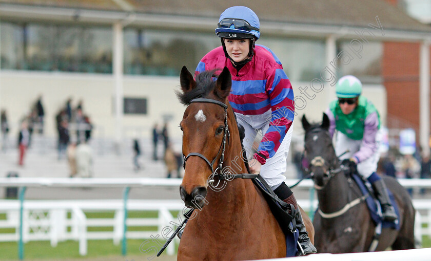 Tynecastle-Park-0007 
 TYNECASTLE PARK (Molly Presland)
Lingfield 1 Dec 2021 - Pic Steven Cargill / Racingfotos.com