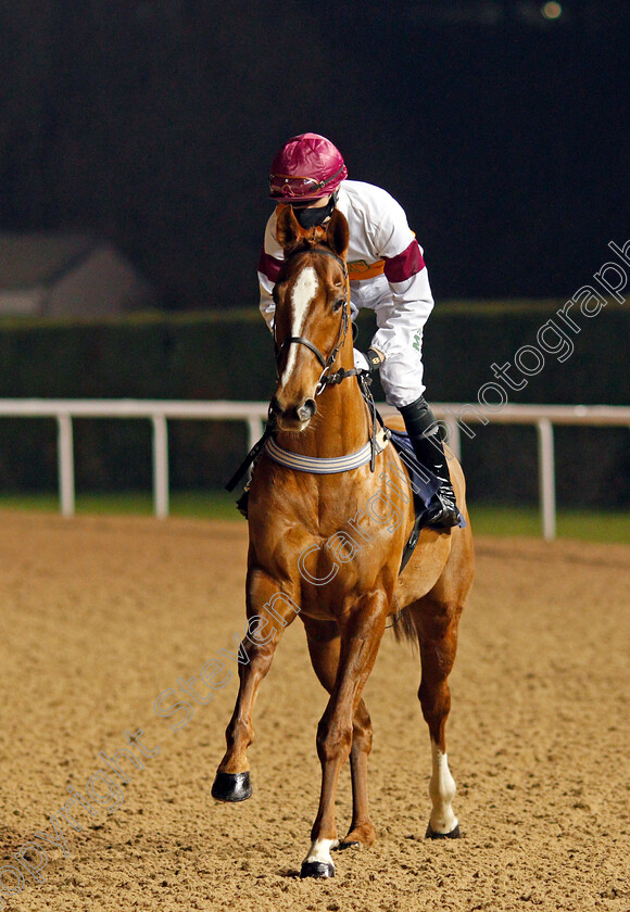 Al-Mikdam-0001 
 AL MIKDAM (Jack Garritty)
Wolverhampton 5 Dec 2020 - Pic Steven Cargill / Racingfotos.com