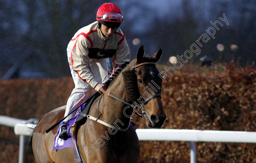 Solveig s-Song-0001 
 SOLVEIG'S SONG (Nicola Currie)
Kempton 16 Jan 2019 - Pic Steven Cargill / Racingfotos.com