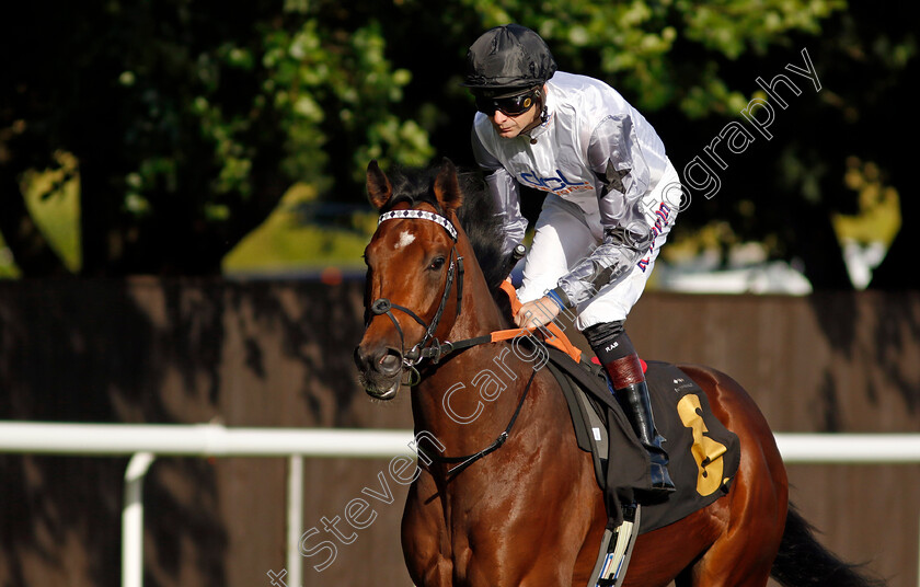 Righthere-Rightnow-0010 
 RIGHTHERE RIGHTNOW (Robert Havlin) winner of The Maritime Cargo Services Road Haulage Hustle EBF Newcomers Maiden Stakes
Newmarket 9 Aug 2024 - Pic Steven Cargill / Racingfotos.com