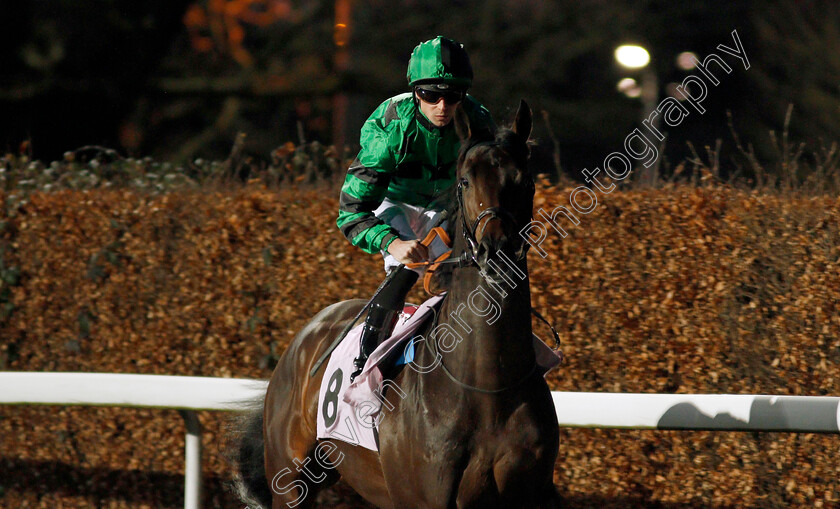 Rusper s-Lad-0001 
 RUSPER'S LAD (Jack Mitchell)
Kempton 29 Jan 2020 - Pic Steven Cargill / Racingfotos.com