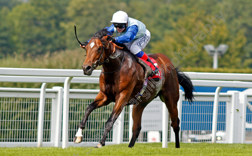 Sonny-Liston-0002 
 SONNY LISTON (Marco Ghiani) wins The Irish Stallion Farms EBF Novice Stakes
Sandown 2 Jul 2021 - Pic Steven Cargill / Racingfotos.com