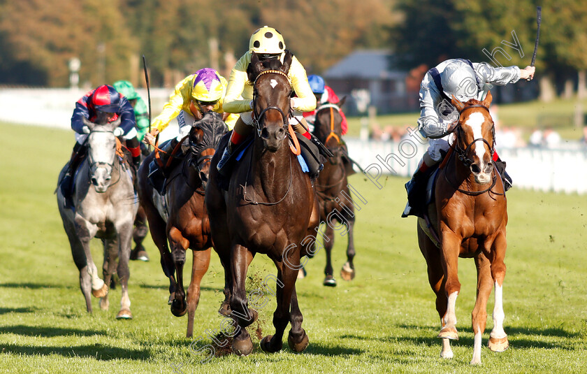 Elasia-0001 
 ELASIA (left, Andrea Atzeni) beats FIRE JET (right) in The TBA #thisfillycan Fillies Handicap
Goodwood 26 Sep 2018 - Pic Steven Cargill / Racingfotos.com