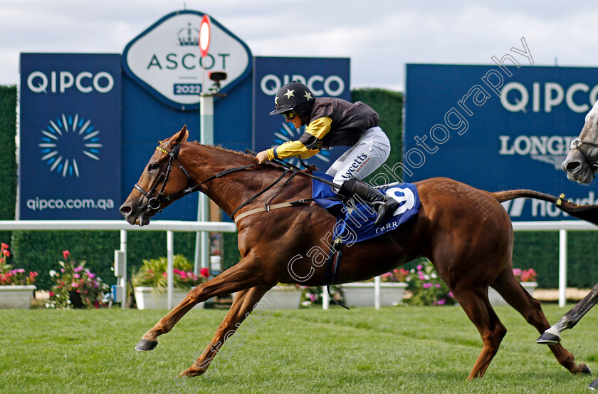 Call-Me-Ginger-0007 
 CALL ME GINGER (Amie Waugh) wins The Garrard Handicap
Ascot 23 Jul 2022 - Pic Steven Cargill / Racingfotos.com