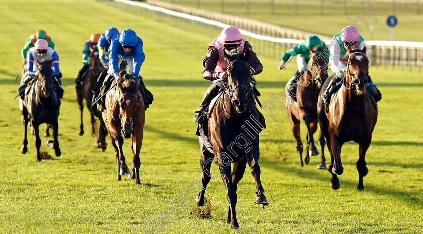 I-Am-I-Said-0006 
 I AM I SAID (Richard Kingscote) wins The British Stallion Studs EBF Future Stayers Novice Stakes
Newmarket 23 Oct 2024 - Pic Steven Cargill / Racingfotos.com