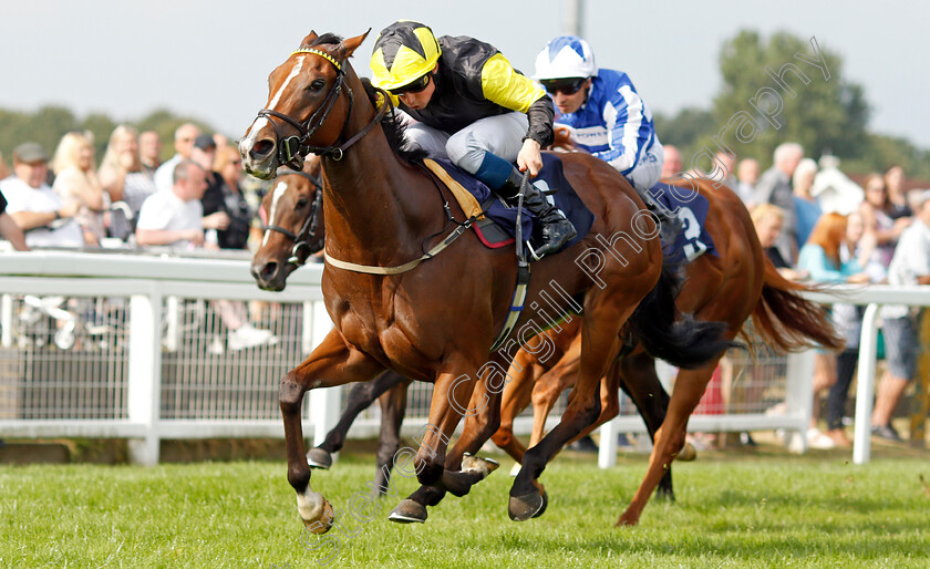 Wajd-0003 
 WAJD (William Buick) wins The British EBF Fillies Novice Stakes
Yarmouth 16 Sep 2021 - Pic Steven Cargill / Racingfotos.com