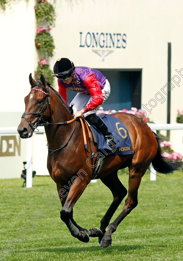 Gilded-Water-0001 
 GILDED WATER (Tom Marquand)
Royal Ascot 20 Jun 2024 - Pic Steven Cargill / Racingfotos.com