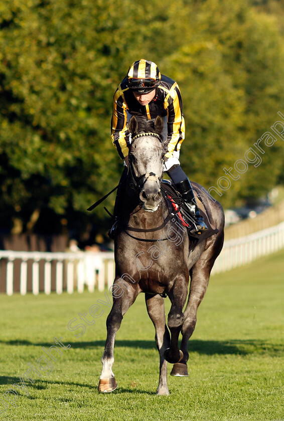 Mart-0001 
 MART (Callum Shepherd)
Newmarket 9 Aug 2024 - Pic Steven Cargill / Racingfotos.com