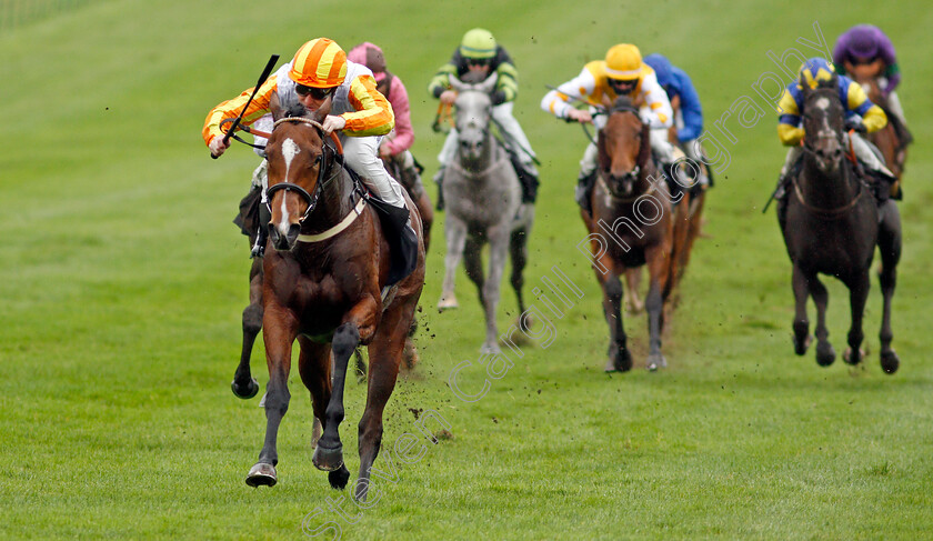 Entwine-0003 
 ENTWINE (Pat Cosgrave) wins The Watch And Bet At Mansionbet Fillies Novice Median Auction Stakes
Newmarket 21 Oct 2020 - Pic Steven Cargill / Racingfotos.com