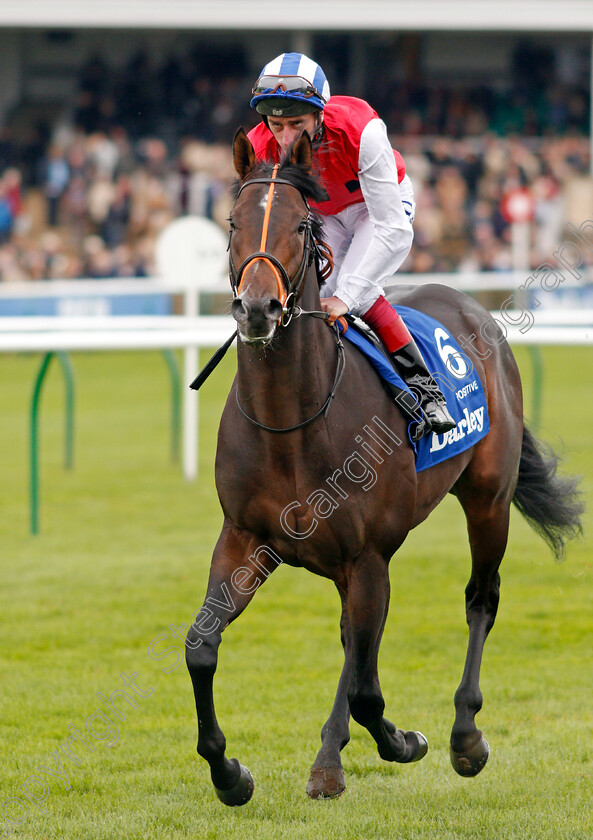 Positive-0001 
 POSITIVE (Adam Kirby)
Newmarket 12 Oct 2019 - Pic Steven Cargill / Racingfotos.com