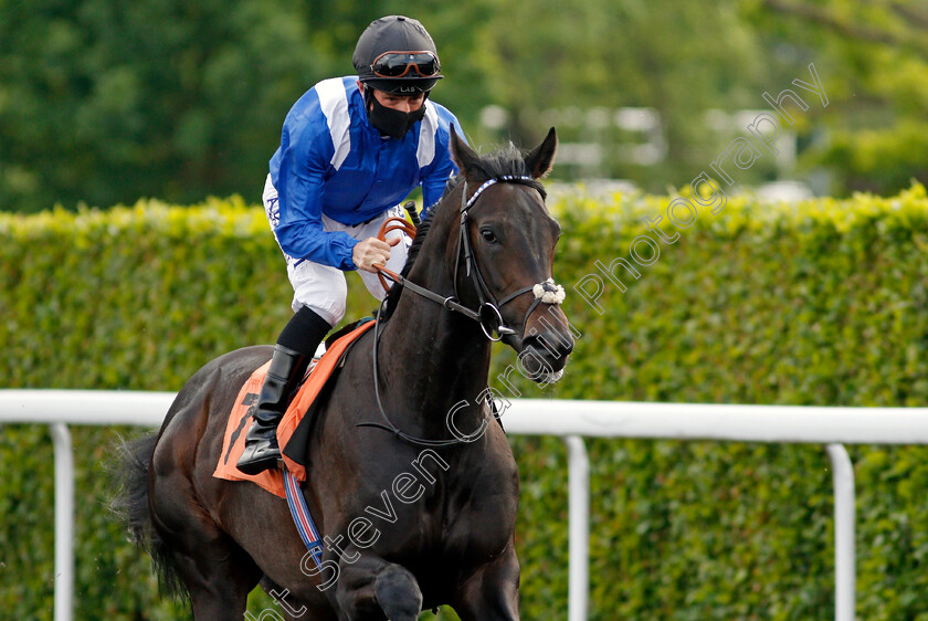 Mutarabes-0001 
 MUTARABES (Dane O'Neill)
Kempton 2 Jun 2021 - Pic Steven Cargill / Racingfotos.com