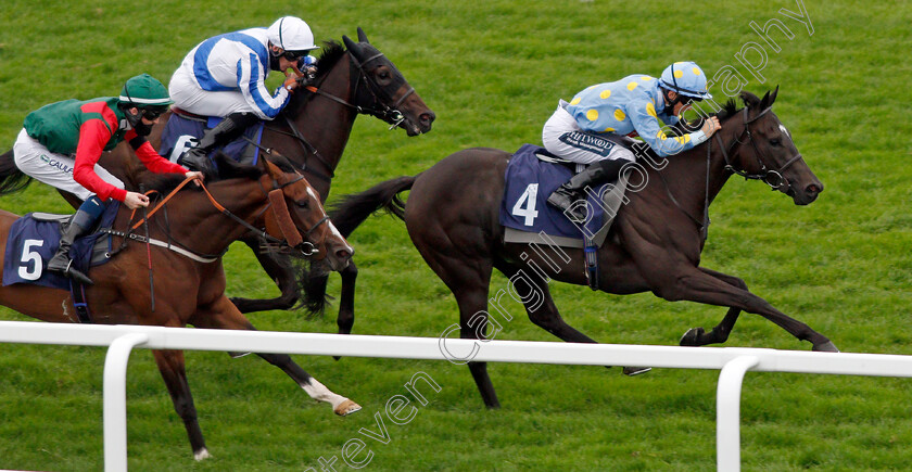 Dashing-Roger-0003 
 DASHING ROGER (Harry Bentley) wins The Moulton Nurseries Handicap
Yarmouth 16 Sep 2020 - Pic Steven Cargill / Racingfotos.com