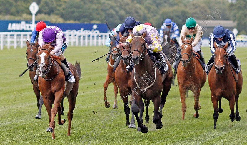 Cosmic-Power-0003 
 COSMIC POWER (centre, Charles Bishop) beats AMARILLO STAR (left) in The Italian Tourist Board British EBF Novice Auction Stakes
Ascot 6 Sep 2019 - Pic Steven Cargill / Racingfotos.com