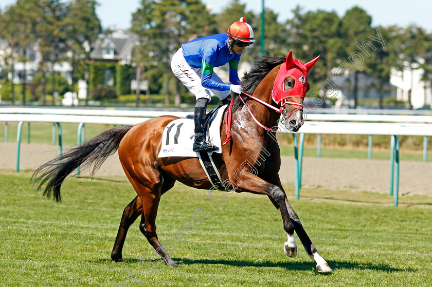 King-Hermes-0004 
 KING HERMES (R Sakai)
Deauville 7 Aug 2022 - Pic Steven Cargill / Racingfotos.com