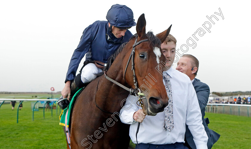 Ylang-Ylang-0009 
 YLANG YLANG (Ryan Moore) winner of The bet365 Fillies Mile
Newmarket 13 Oct 2023 - Pic Steven Cargill / Racingfotos.com