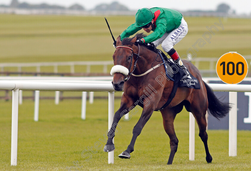 Shamreen-0003 
 SHAMREEN (Pat Smullen) wins The Moyglare Jewels Blandford Stakes Curragh 10 Sep 2017 - Pic Steven Cargill / Racingfotos.com