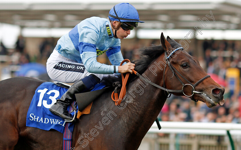 Thrave-0006 
 THRAVE (Harry Bentley) wins The Derrinstown British EBF Maiden Stakes Newmarket 29 Sep 2017 - Pic Steven Cargill / Racingfotos.com