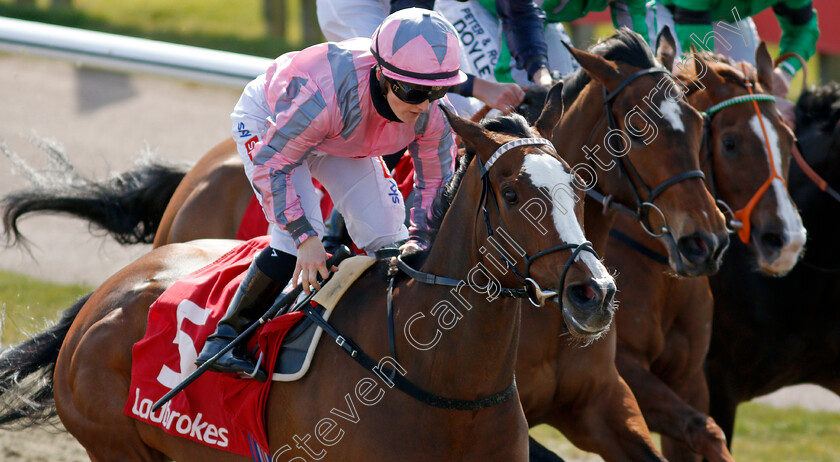 Pholas-0005 
 PHOLAS (Hollie Doyle) wins The Ladbrokes All-Weather Fillies and Mares Championships Conditions Stakes
Lingfield 2 Apr 2021 - Pic Steven Cargill / Racingfotos.com