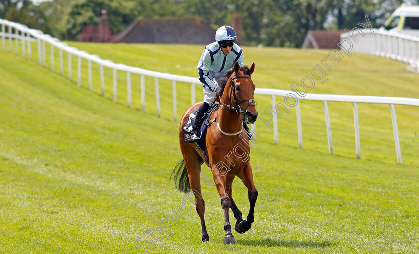 Nighteyes-0002 
 NIGHTEYES (Daniel Tudhope)
Sandown 15 Jun 2024 - Pic Steven Cargill / Racingfotos.com