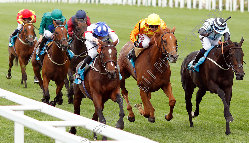 Themaxwecan-0001 
 THEMAXWECAN (left, James Doyle) beats SLEEPING LION (2nd right) and BLUE LAUREATE (right) in The John Guest Racing Brown Jack Handicap
Ascot 26 Jul 2019 - Pic Steven Cargill / Racingfotos.com