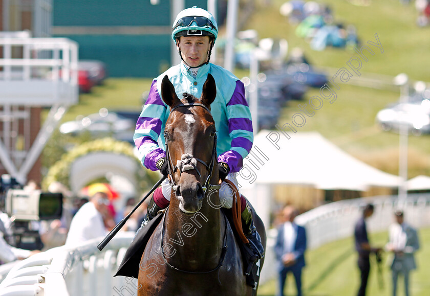 Cool-Hoof-Luke-0001 
 COOL HOOF LUKE (Oisin Murphy)
Goodwood 30 Jul 2024 - Pic Steven Cargill / Racingfotos.com