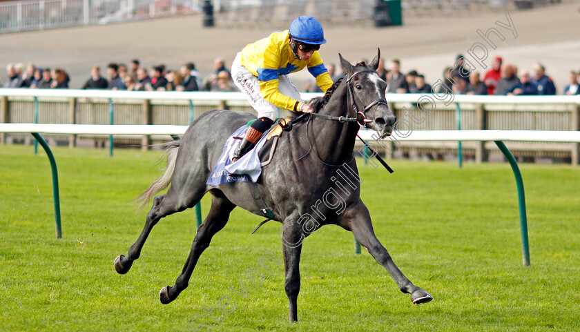 Seaplane-0002 
 SEAPLANE (Rossa Ryan) wins The Al Bastiworld Dubai British EBF Maiden Stakes
Newmarket 27 Sep 2024 - Pic Steven Cargill / Racingfotos.com