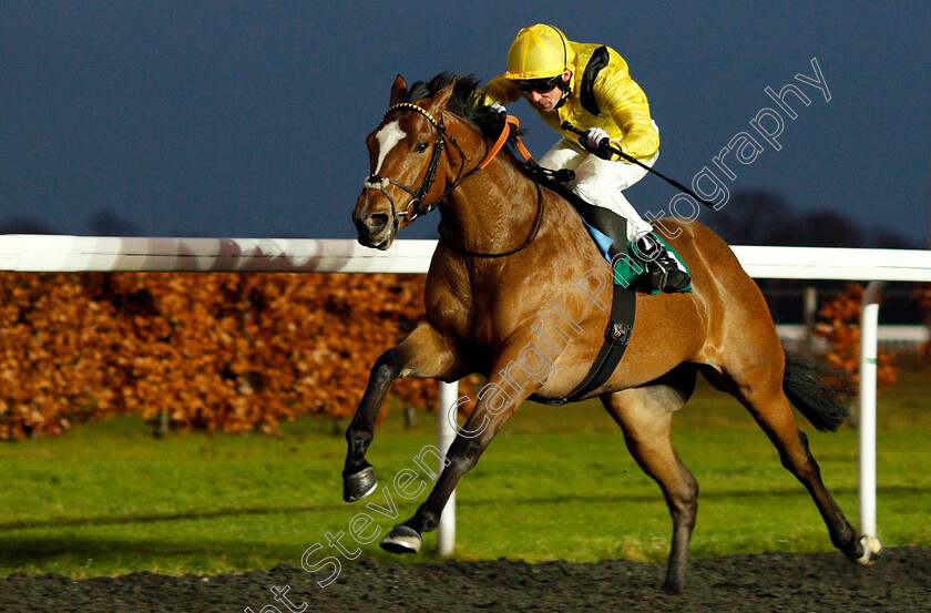 Monadee-0004 
 MONADEE (Jack Mitchell) wins The Bethany & Theodore Fitchie Novice Stakes Kempton 13 Dec 2017 - Pic Steven Cargill / Racingfotos.com