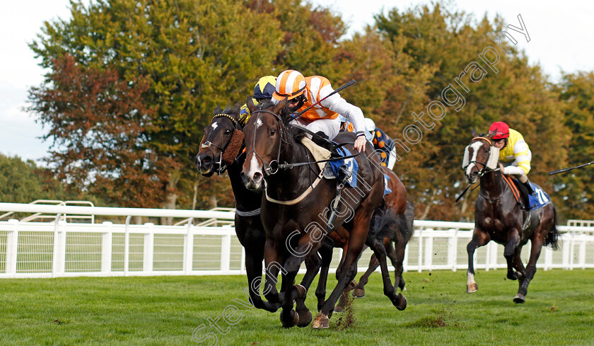 Raha-0003 
 RAHA (Dylan Hogan) wins The Consign With Byerley Stud Handicap Div2
Salisbury 1 Oct 2020 - Pic Steven Cargill / Racingfotos.com