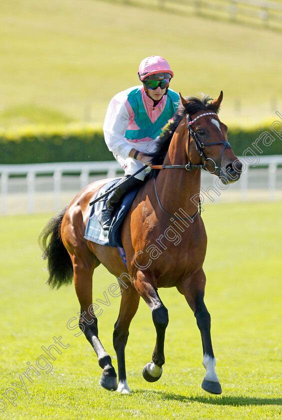 Klondike-0003 
 KLONDIKE (Tom Marquand)
Goodwood 26 May 2023 - Pic Steven Cargill / Racingfotos.com