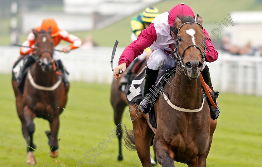 Pastamakesufaster-0002 
 PASTAMAKESUFASTER (John Egan) wins The TBA Small Breeders Fillies Stakes Goodwood 27 Sep 2017 - Pic Steven Cargill / Racingfotos.com