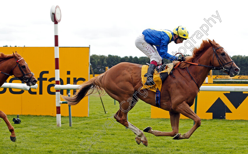 Dream-Of-Dreams-0009 
 DREAM OF DREAMS (Oisin Murphy) wins The Betfair Sprint Cup
Haydock 5 Sep 2020 - Pic Steven Cargill / Racingfotos.com